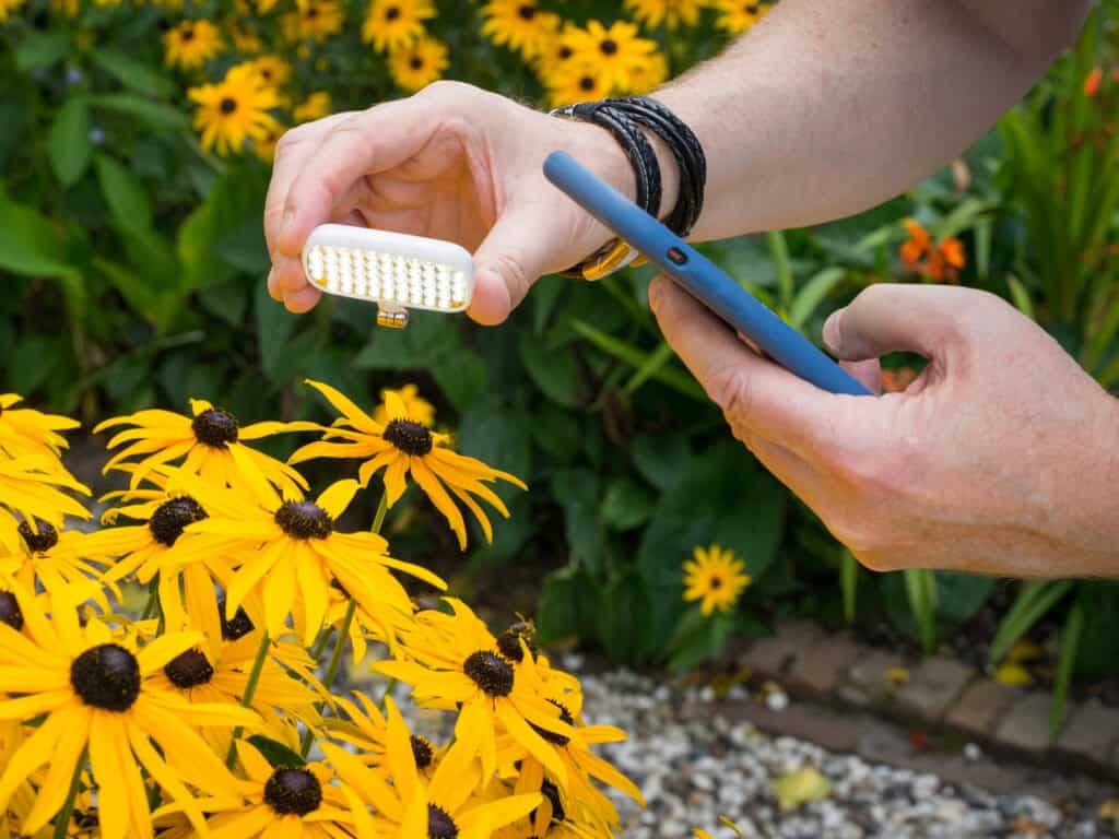 Het onderwerp verlichten